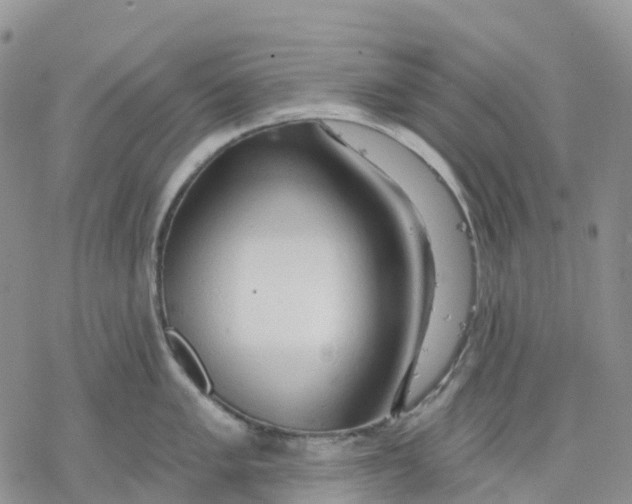 X0000078231005200611251209