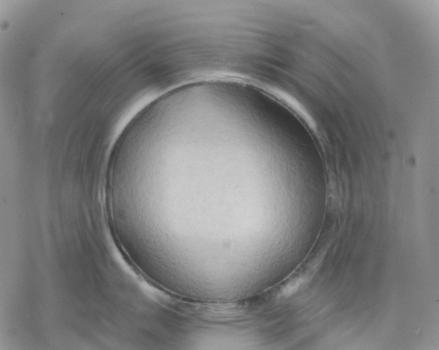 X0000078231007200611251209