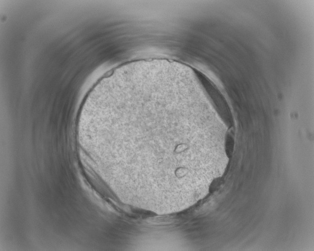 X0000078231008200611251209