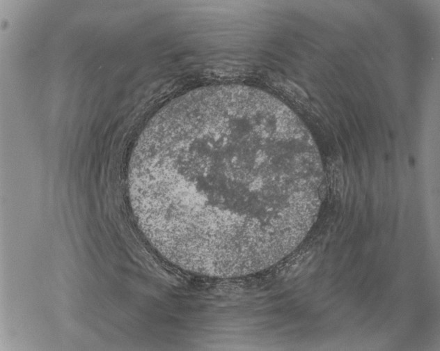 X0000078231009200611251208