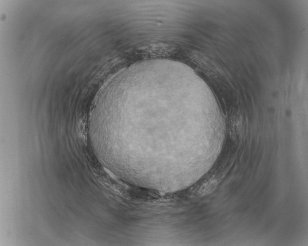 X0000078231010200611251208