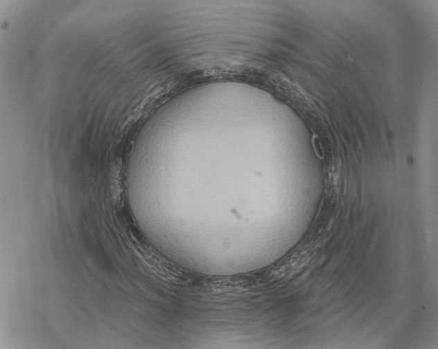 X0000078231012200611251208