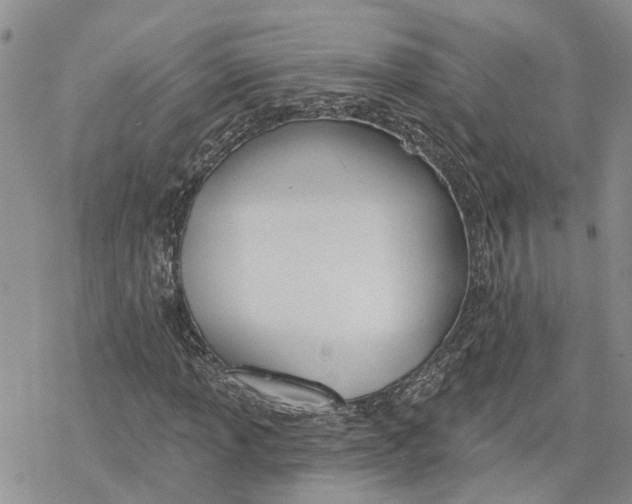 X0000078231013200611251208