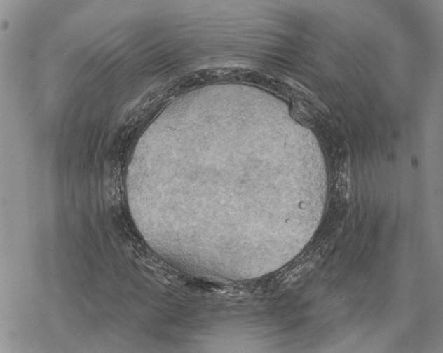 X0000078231014200611251208