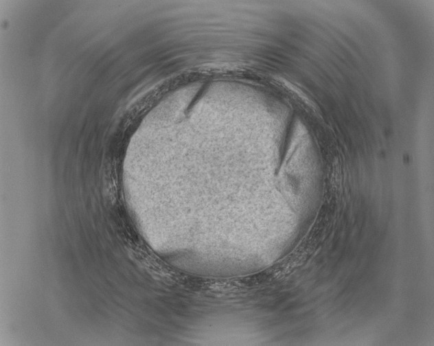 X0000078231015200611251209