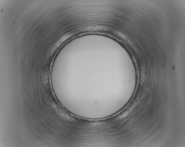 X0000078231017200611251209