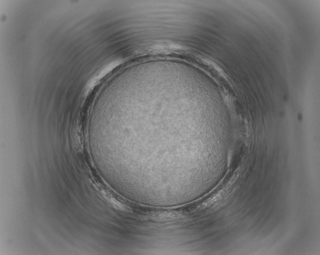 X0000078231018200611251209