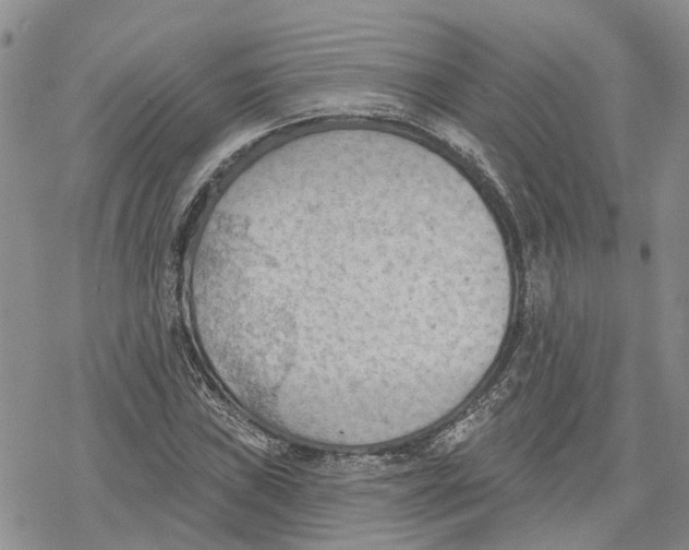 X0000078231019200611251209