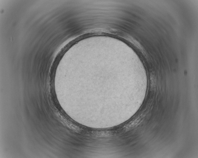 X0000078231020200611251209