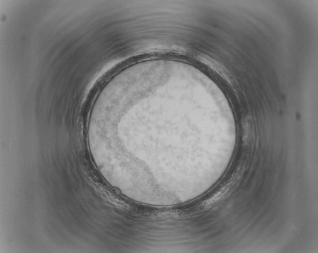 X0000078231021200611251209