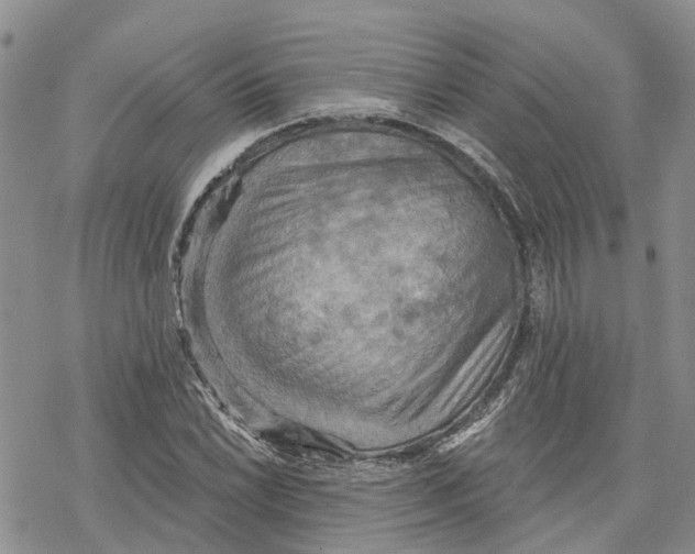 X0000078231022200611251209