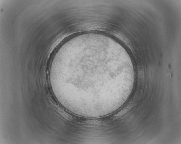 X0000078231023200611251209