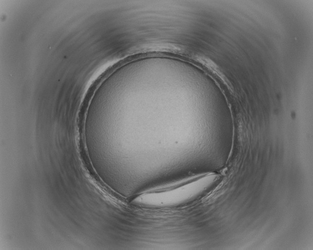 X0000078231024200611251209