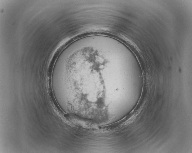 X0000078231029200611251209