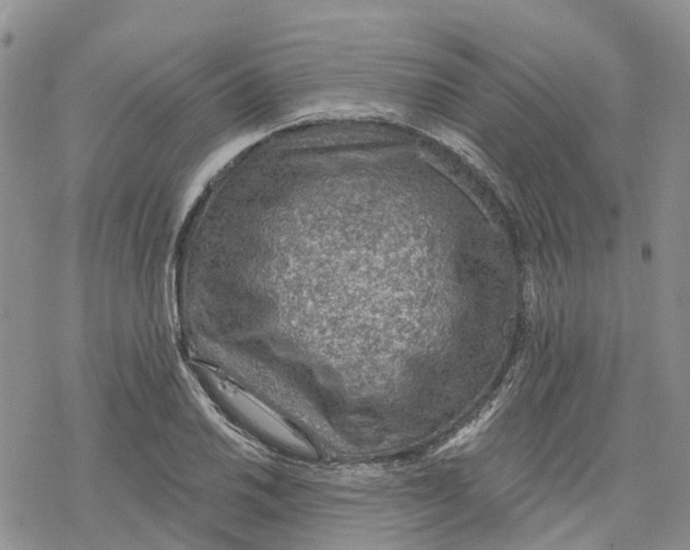 X0000078231030200611251209