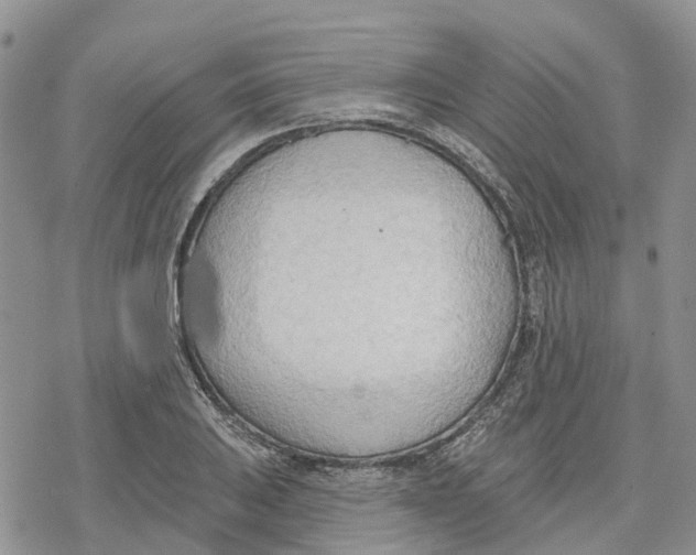 X0000078231031200611251209