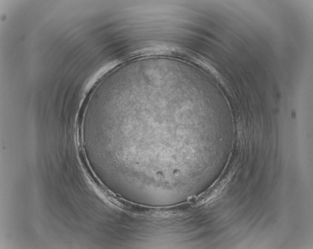 X0000078231034200611251209