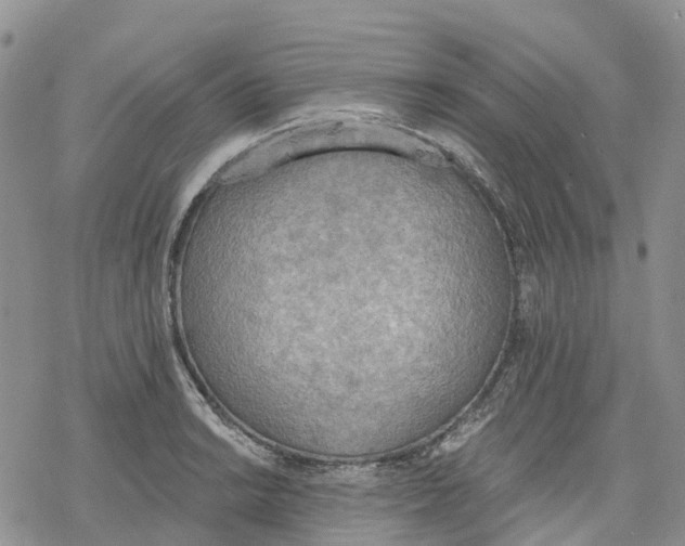 X0000078231038200611251209