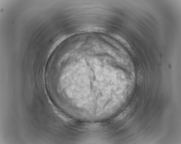 X0000078231039200611251209