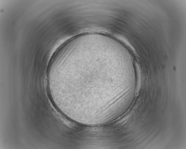 X0000078231040200611251209