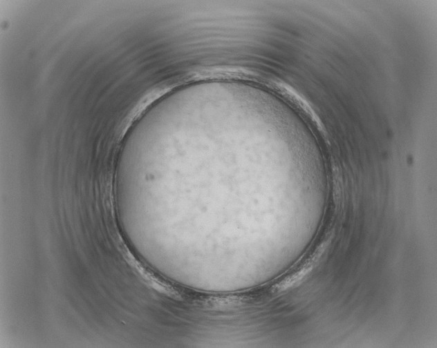 X0000078231041200611251209