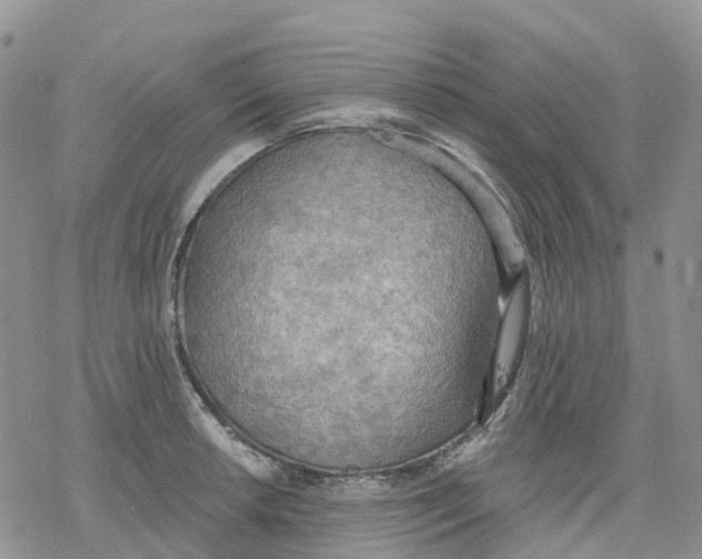 X0000078231042200611251209