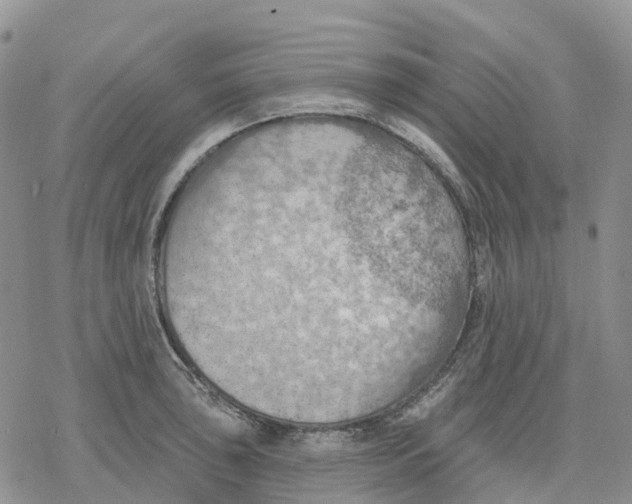 X0000078231043200611251209