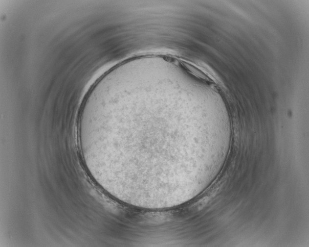 X0000078231044200611251209