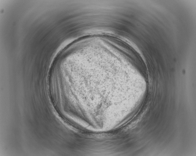 X0000078231045200611251209