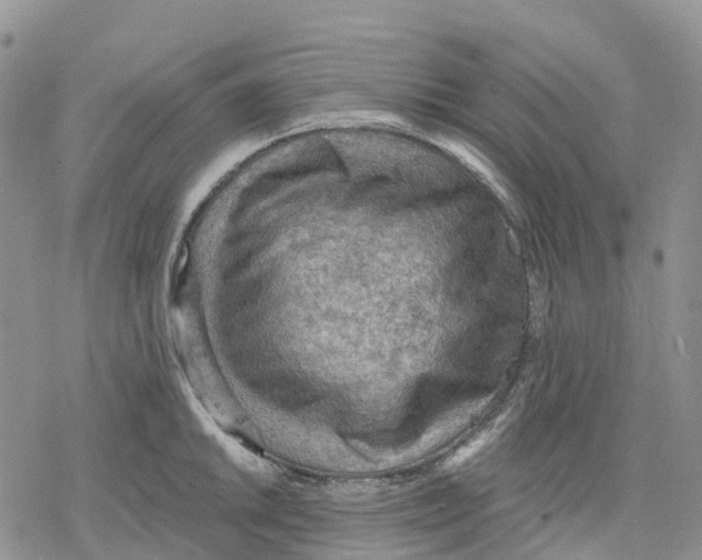 X0000078231046200611251209