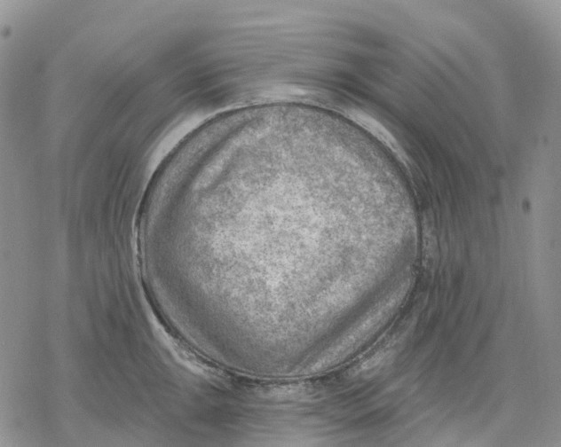 X0000078231047200611251209