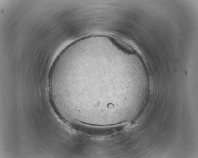 X0000078231048200611251209