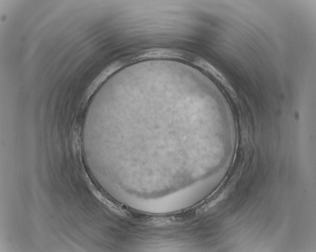 X0000078231049200611251209