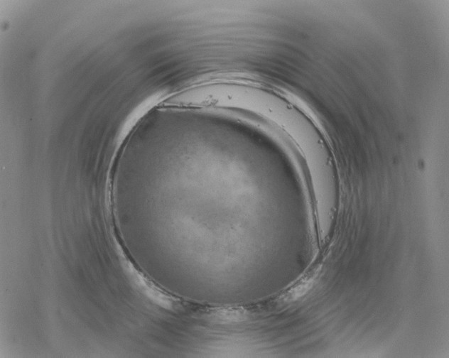 X0000078231050200611251209