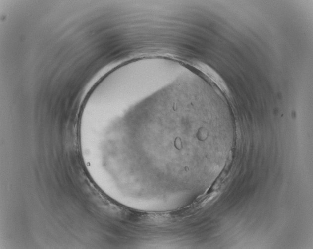 X0000078231052200611251209