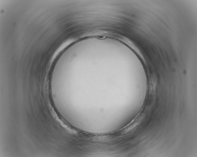 X0000078231053200611251209