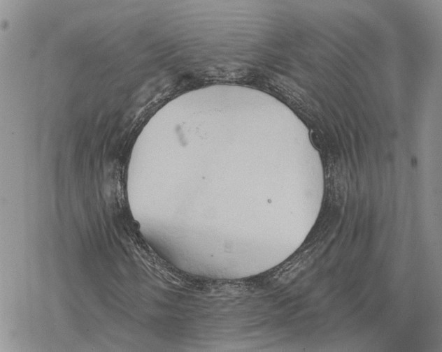 X0000078231058200611251208