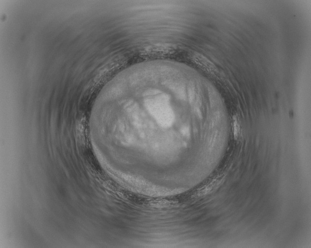 X0000078231059200611251208