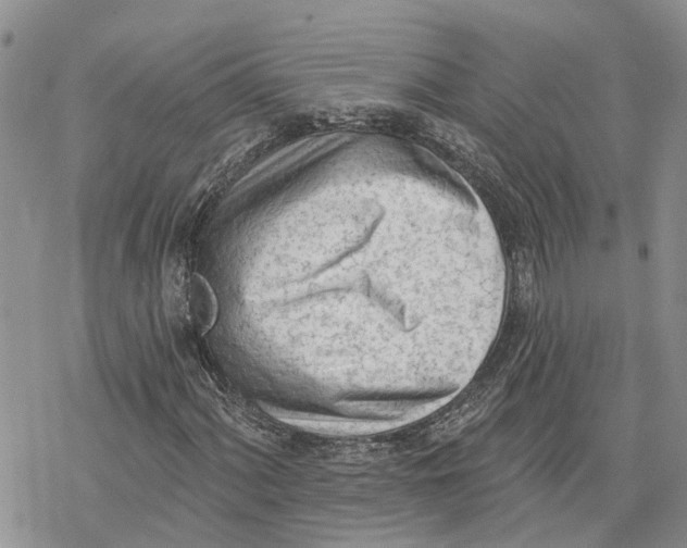 X0000078231060200611251208