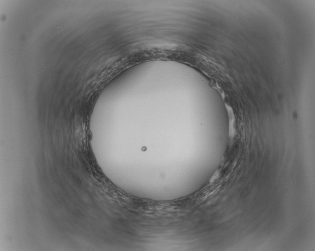 X0000078231061200611251208