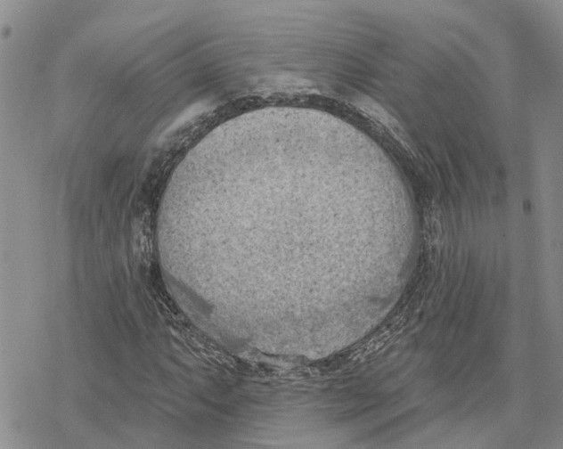 X0000078231063200611251208