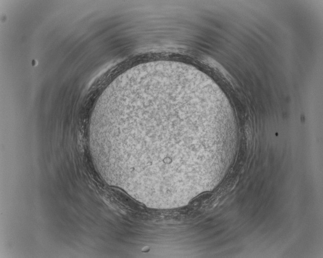 X0000078231064200611251208