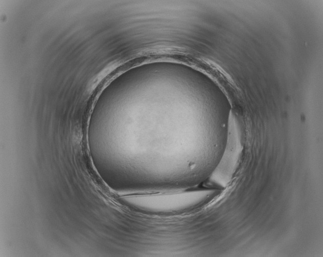 X0000078231065200611251208