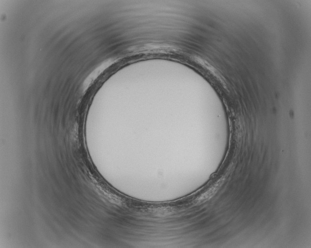 X0000078231066200611251208