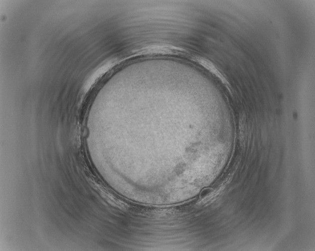 X0000078231067200611251208