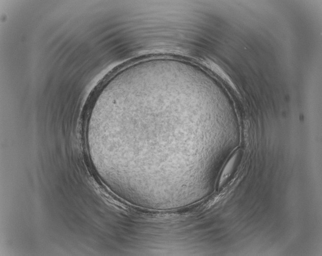 X0000078231068200611251208