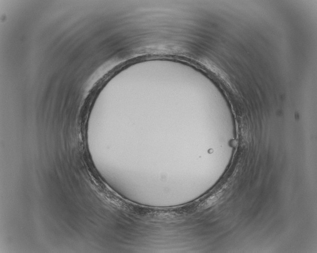 X0000078231070200611251208