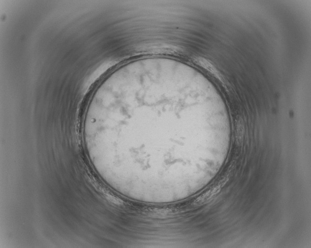 X0000078231071200611251208