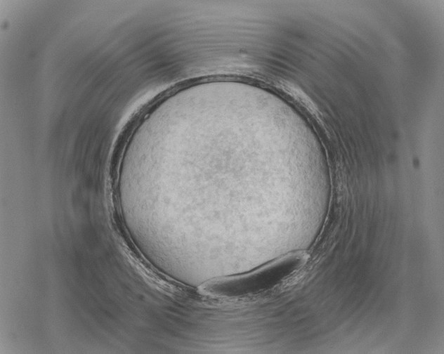 X0000078231072200611251208