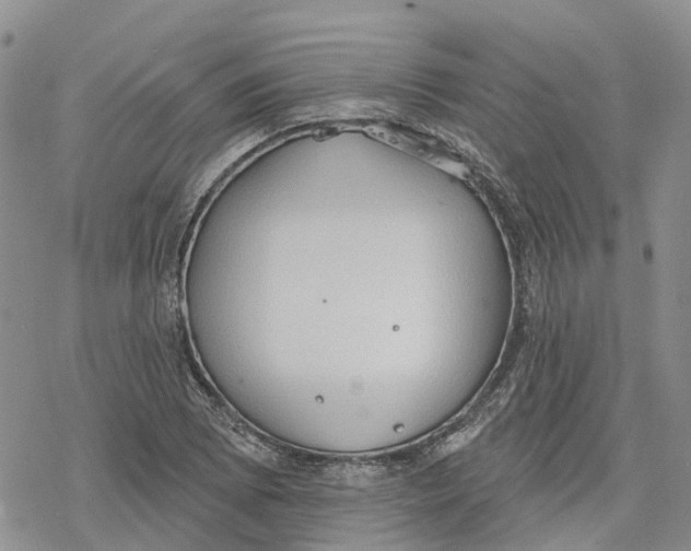 X0000078231073200611251208